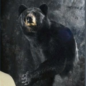 Meet your Posher, Dennis